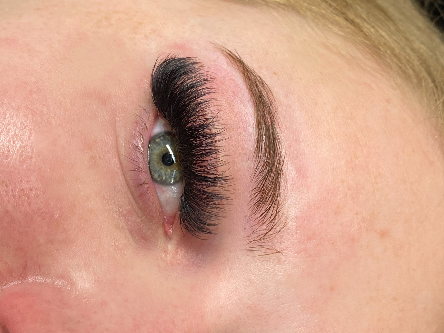 pro made fans, pro made volume fans, eyelash extensions, pro made volume lashes, pre made fans, jazlash, loose volume lashes, eyelash extensions, jazlash , black pro made fans, quick eyelash extensions, ,